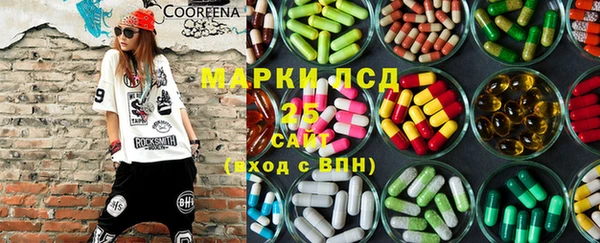 ECSTASY Богданович