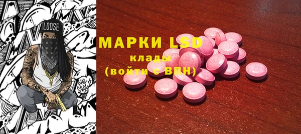 ECSTASY Богданович