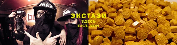 ECSTASY Богданович