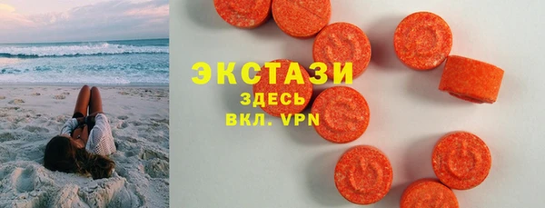 ECSTASY Богданович