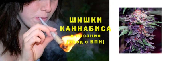 прущая мука Богородицк
