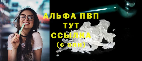 ECSTASY Богданович