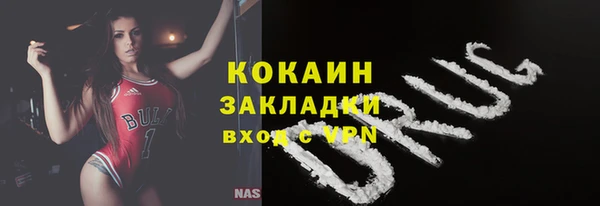 ECSTASY Богданович