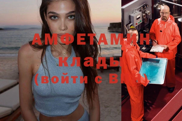ECSTASY Богданович