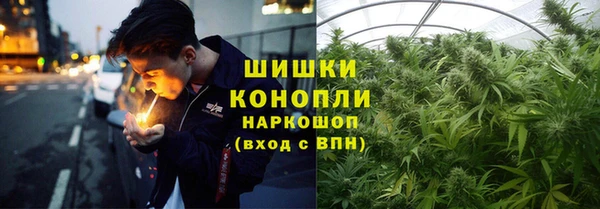 ECSTASY Богданович