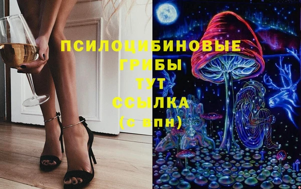 прущая мука Богородицк