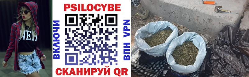 кракен зеркало  Хотьково  площадка телеграм  Псилоцибиновые грибы GOLDEN TEACHER 
