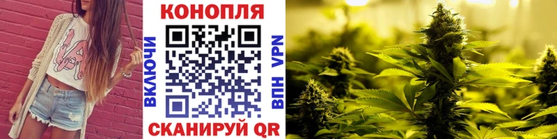 Канабис план  Хотьково 